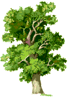 Schrupp Family Tree